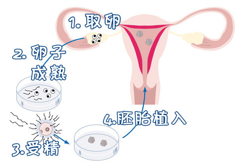 伊藤医師